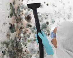 Best Water Damage & Mold Remediation  in Country Club Hls, IL